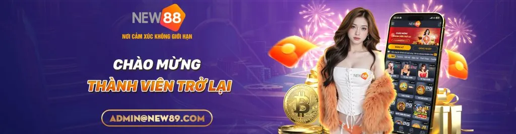 Giải thích Cookie WIN333