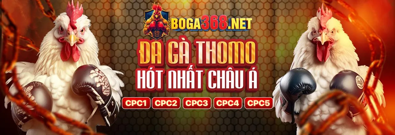 Đá Gà Trực Tuyến WIN333 Link Mới